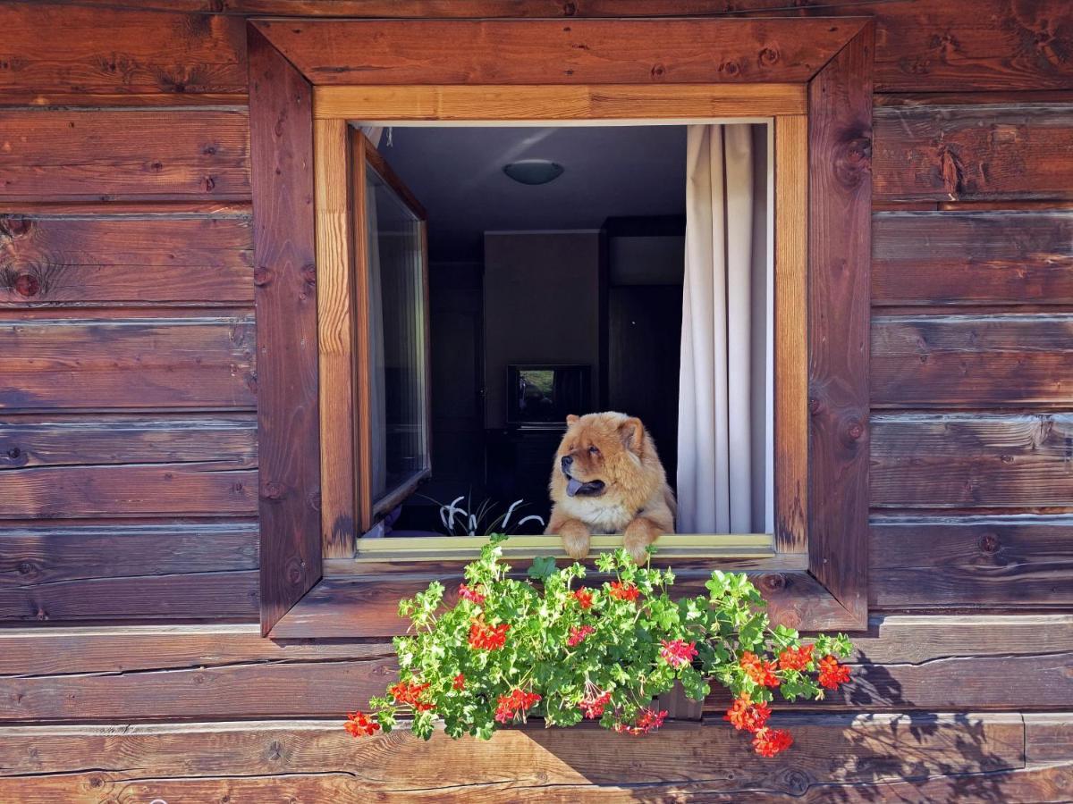 Bed and Breakfast Czarna Owca Истебна Экстерьер фото