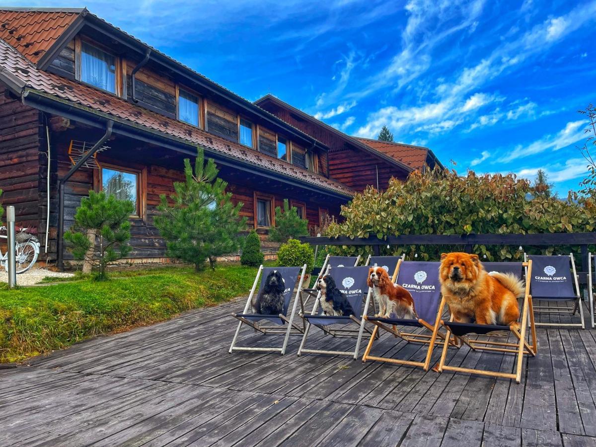 Bed and Breakfast Czarna Owca Истебна Экстерьер фото