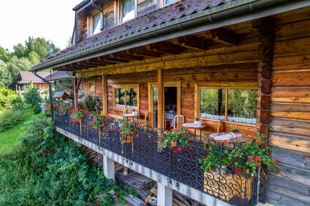 Bed and Breakfast Czarna Owca Истебна Экстерьер фото