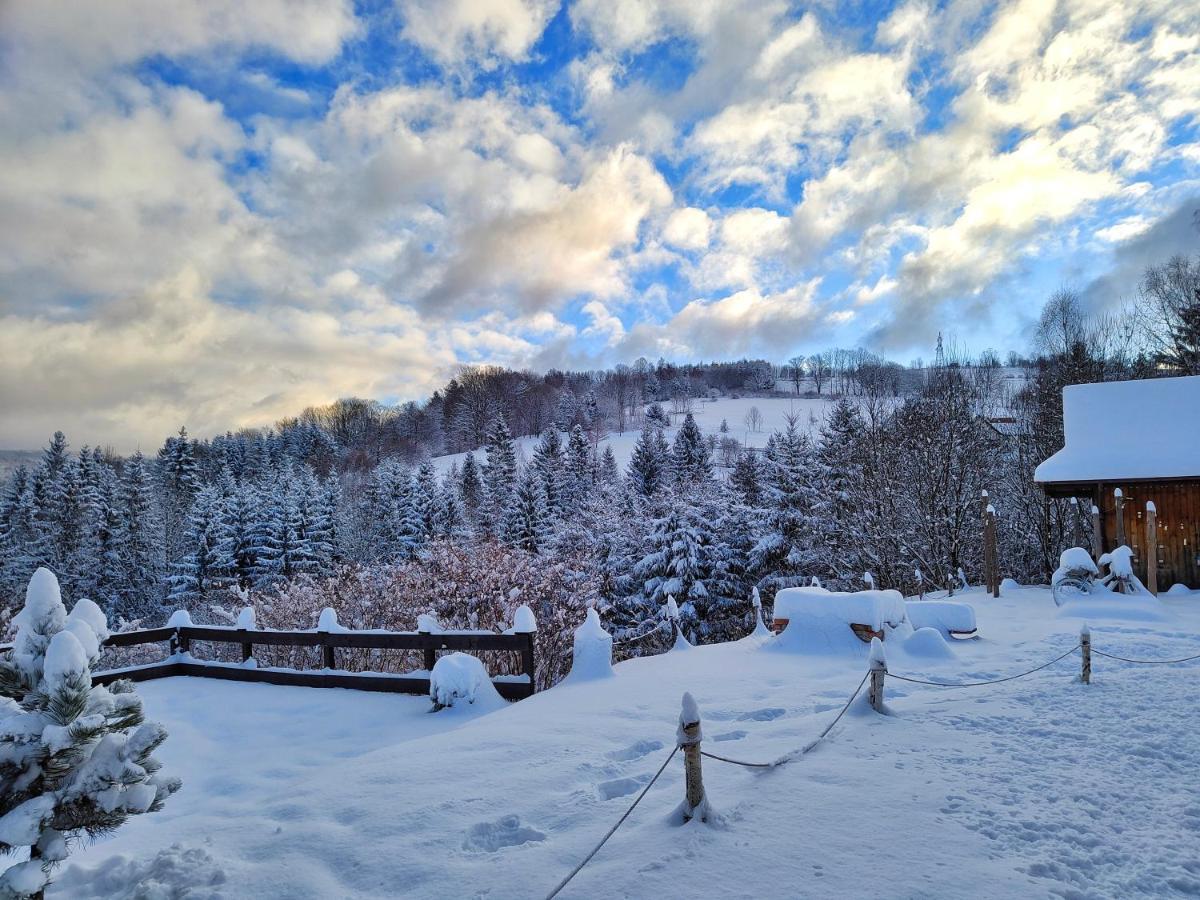 Bed and Breakfast Czarna Owca Истебна Экстерьер фото