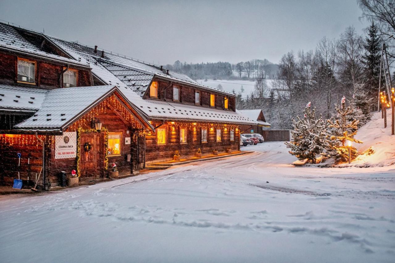 Bed and Breakfast Czarna Owca Истебна Экстерьер фото
