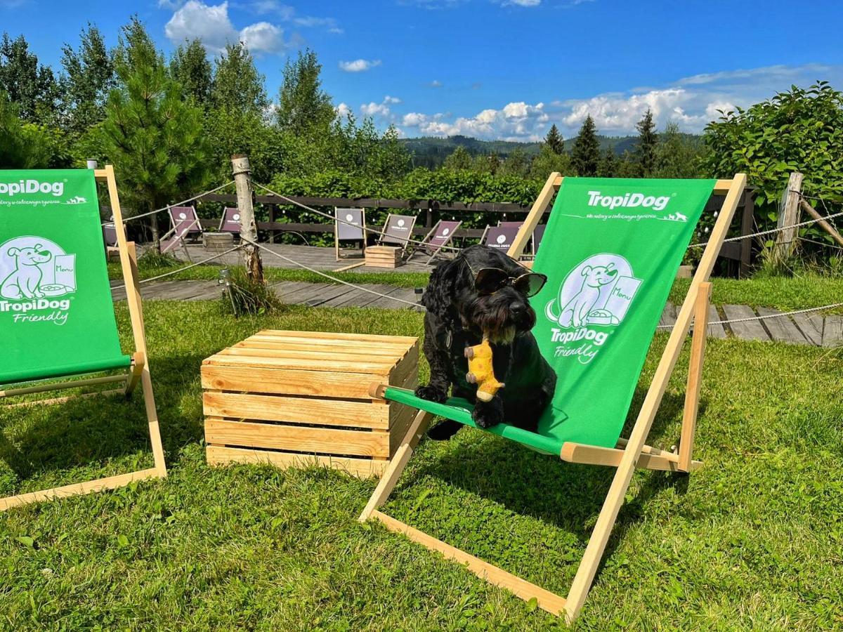 Bed and Breakfast Czarna Owca Истебна Экстерьер фото