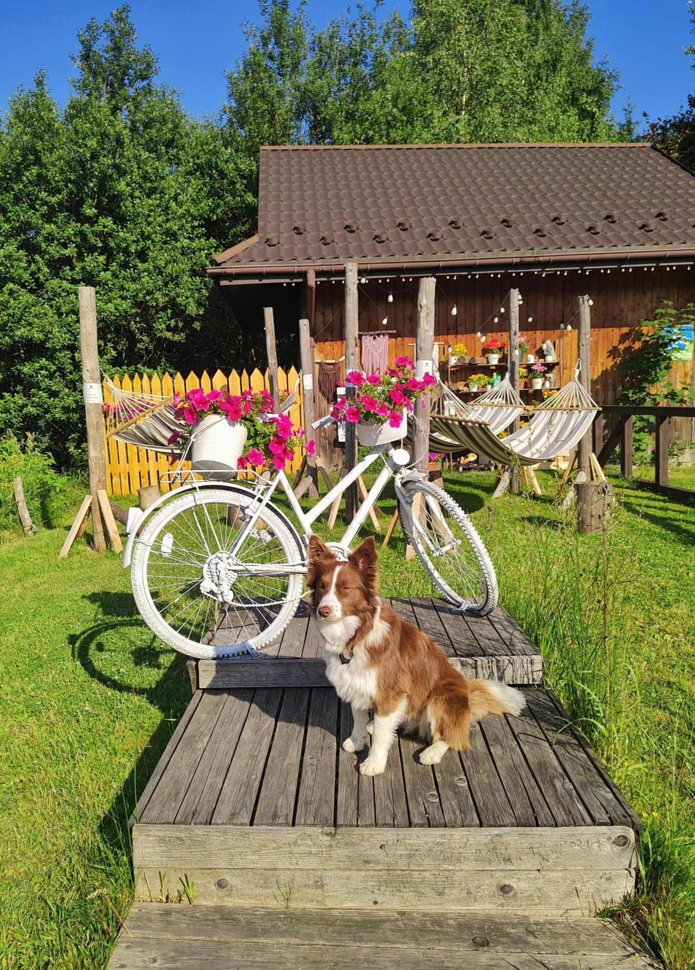Bed and Breakfast Czarna Owca Истебна Экстерьер фото