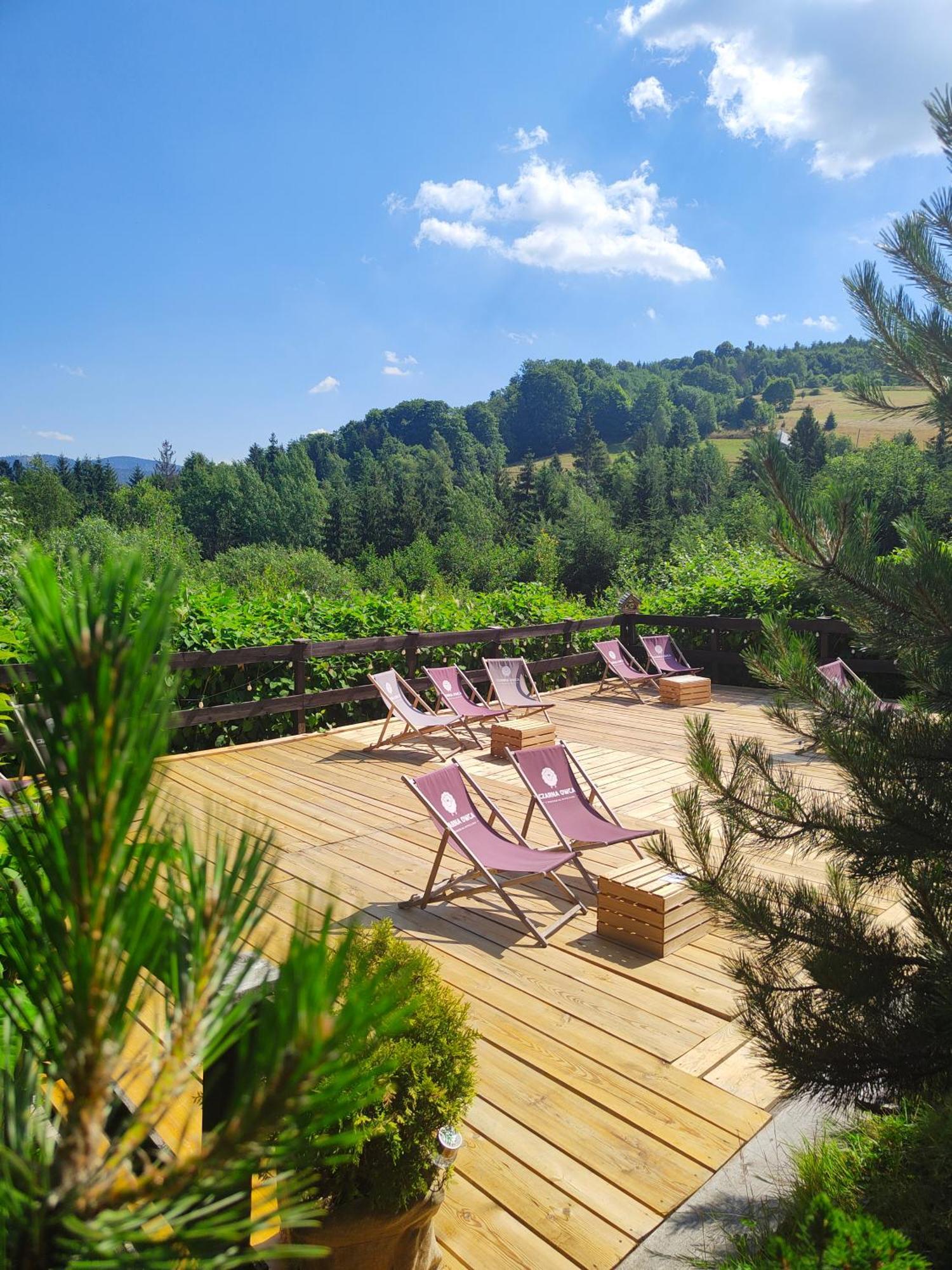 Bed and Breakfast Czarna Owca Истебна Экстерьер фото