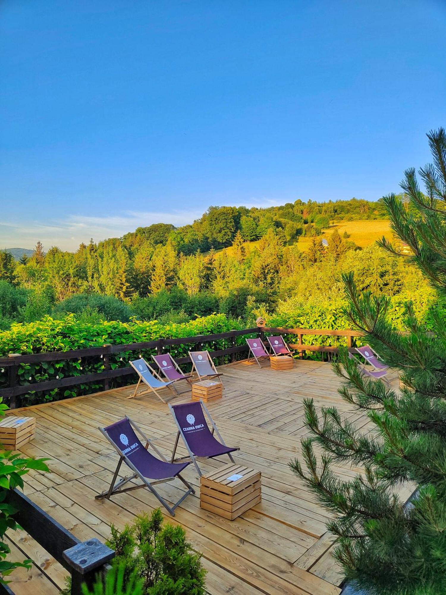 Bed and Breakfast Czarna Owca Истебна Экстерьер фото