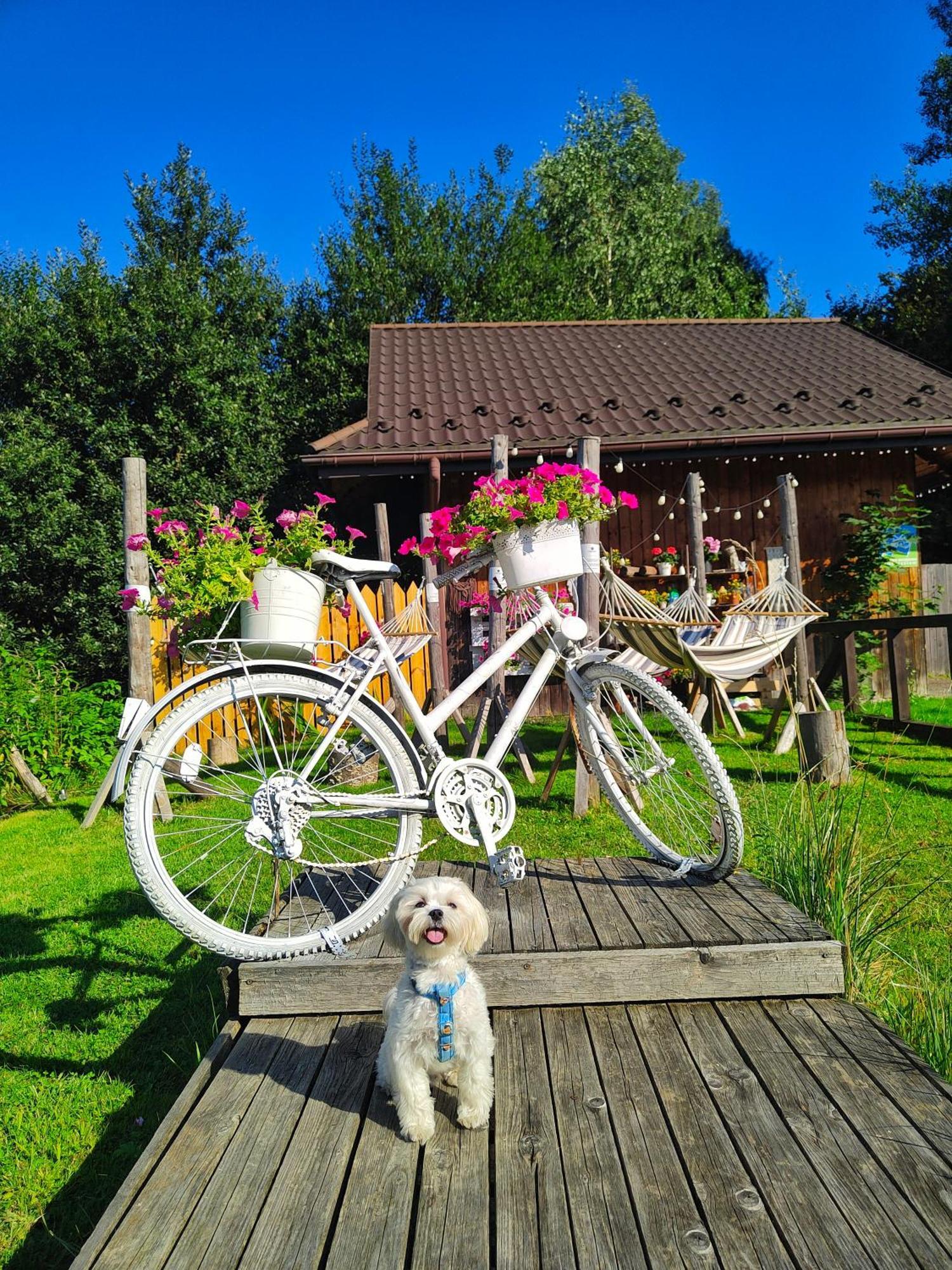 Bed and Breakfast Czarna Owca Истебна Экстерьер фото